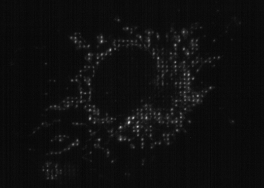 Typical VCS Illumination Pattern Projected onto Sample